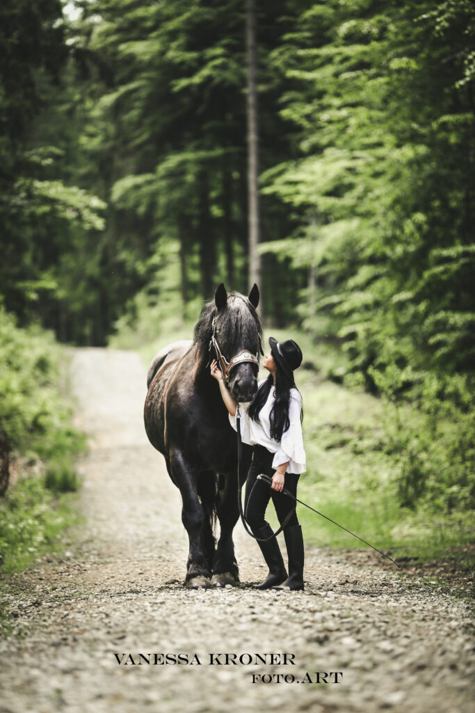 Percheron 1